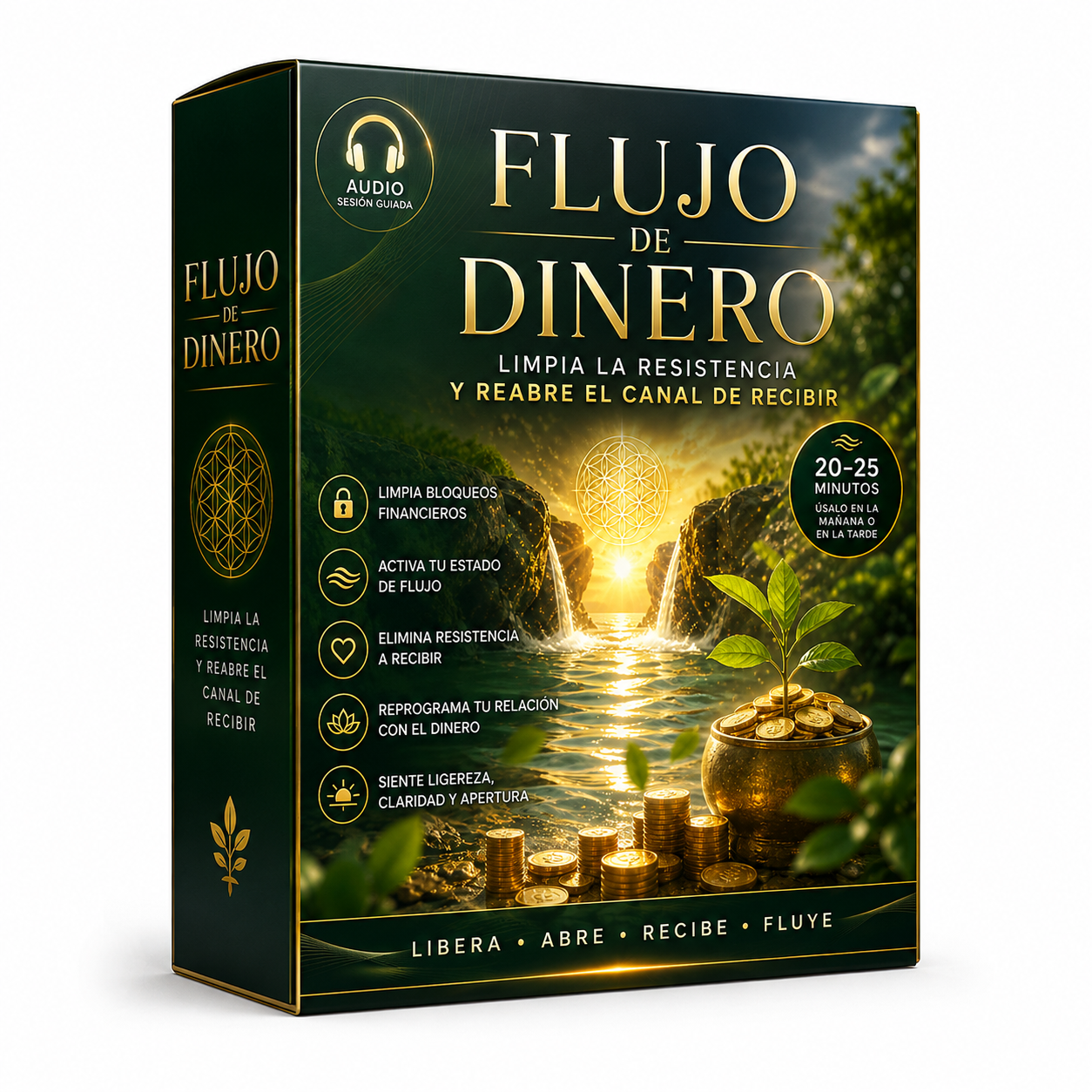 Audio guiado Flujo de Dinero