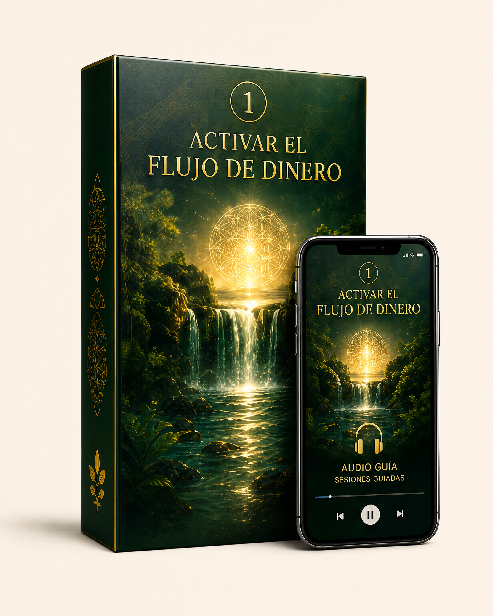 Activar el Flujo de Dinero