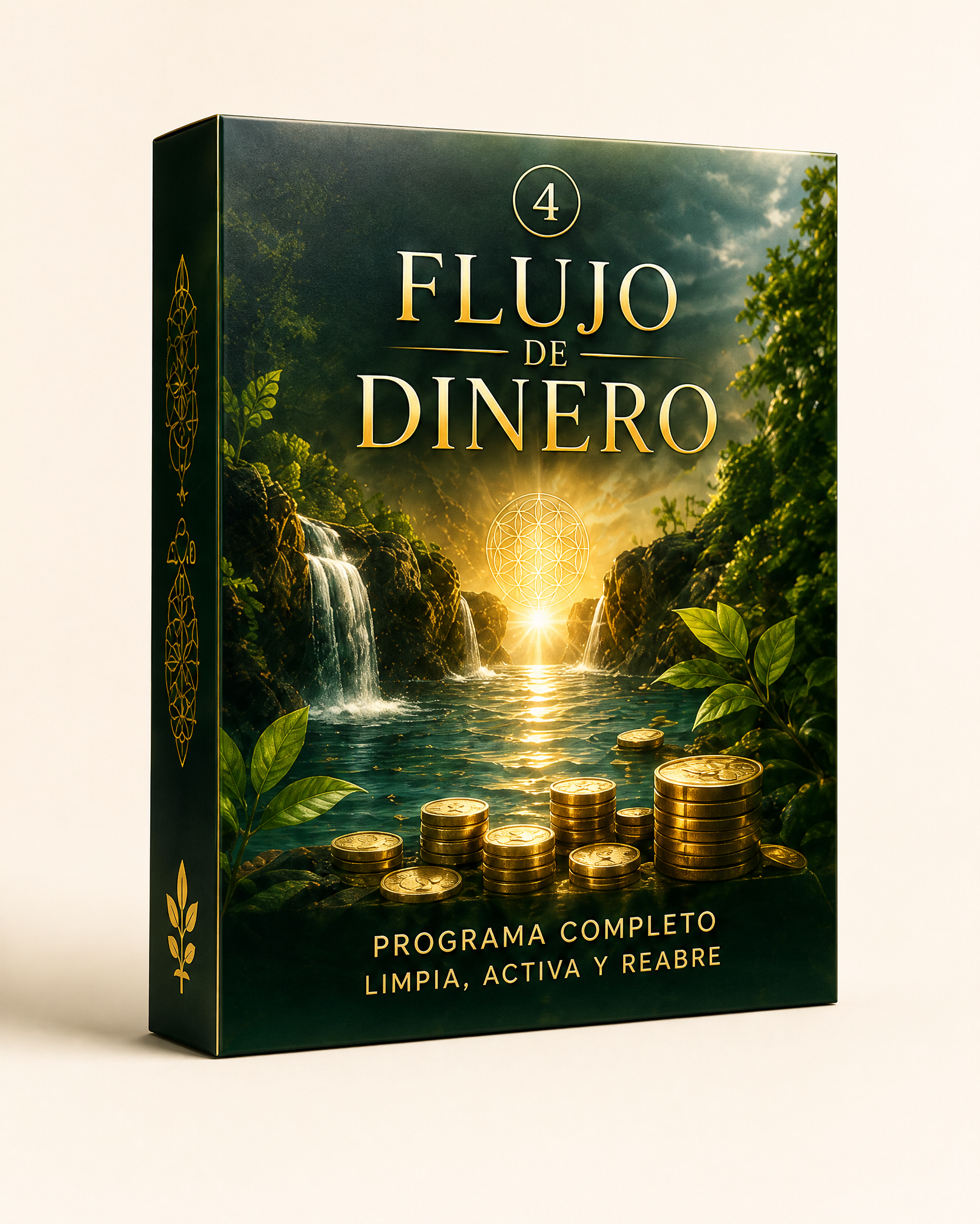 Programa completo Flujo de Dinero